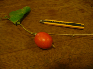 b0325640_1315551.jpg
