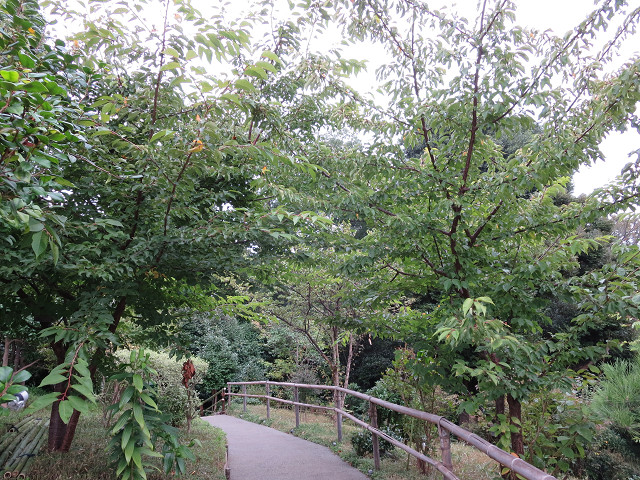 f0065341_15484221.jpg