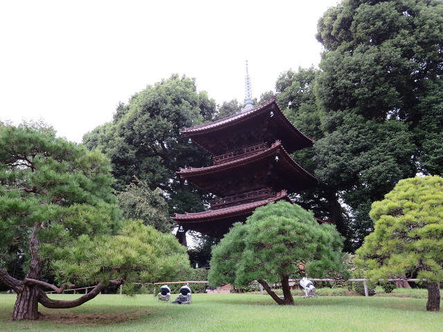 f0065341_1550528.jpg