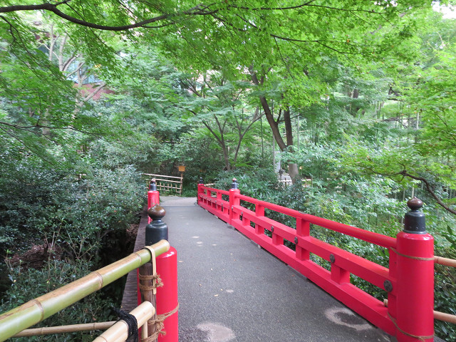 f0065341_1551950.jpg