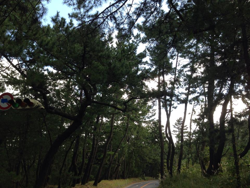 b0002156_8345299.jpg