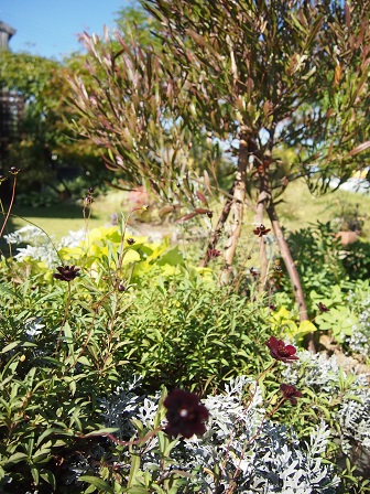 b0246758_21000255.jpg