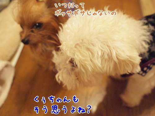 e0248268_09513972.jpg