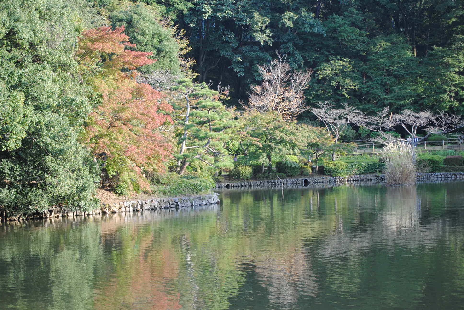 b0242873_01184413.jpg