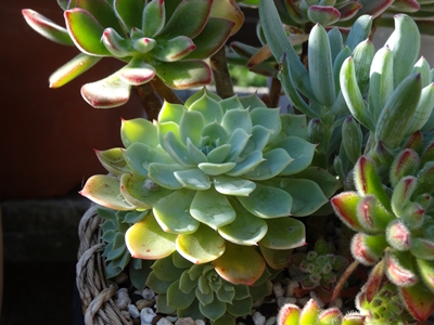e0264374_12371768.jpg