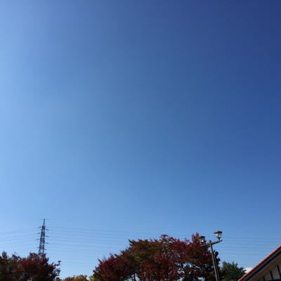 d0233577_10341024.jpg
