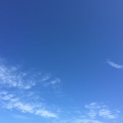 d0233577_103411100.jpg