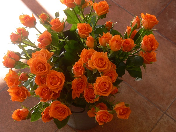e0140986_1738129.jpg