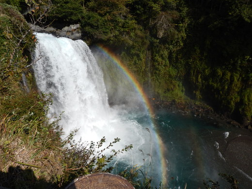 b0074992_23511076.jpg