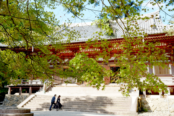 e0079696_107526.jpg