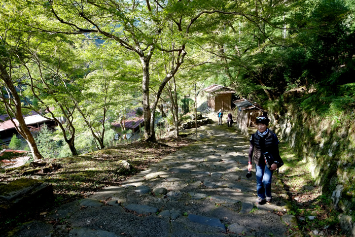 e0079696_108242.jpg