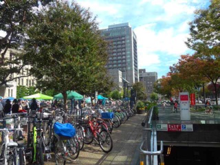 e0113504_20151254.jpg