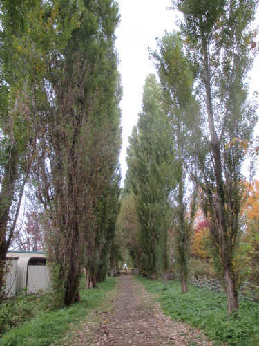 e0242504_20171747.jpg
