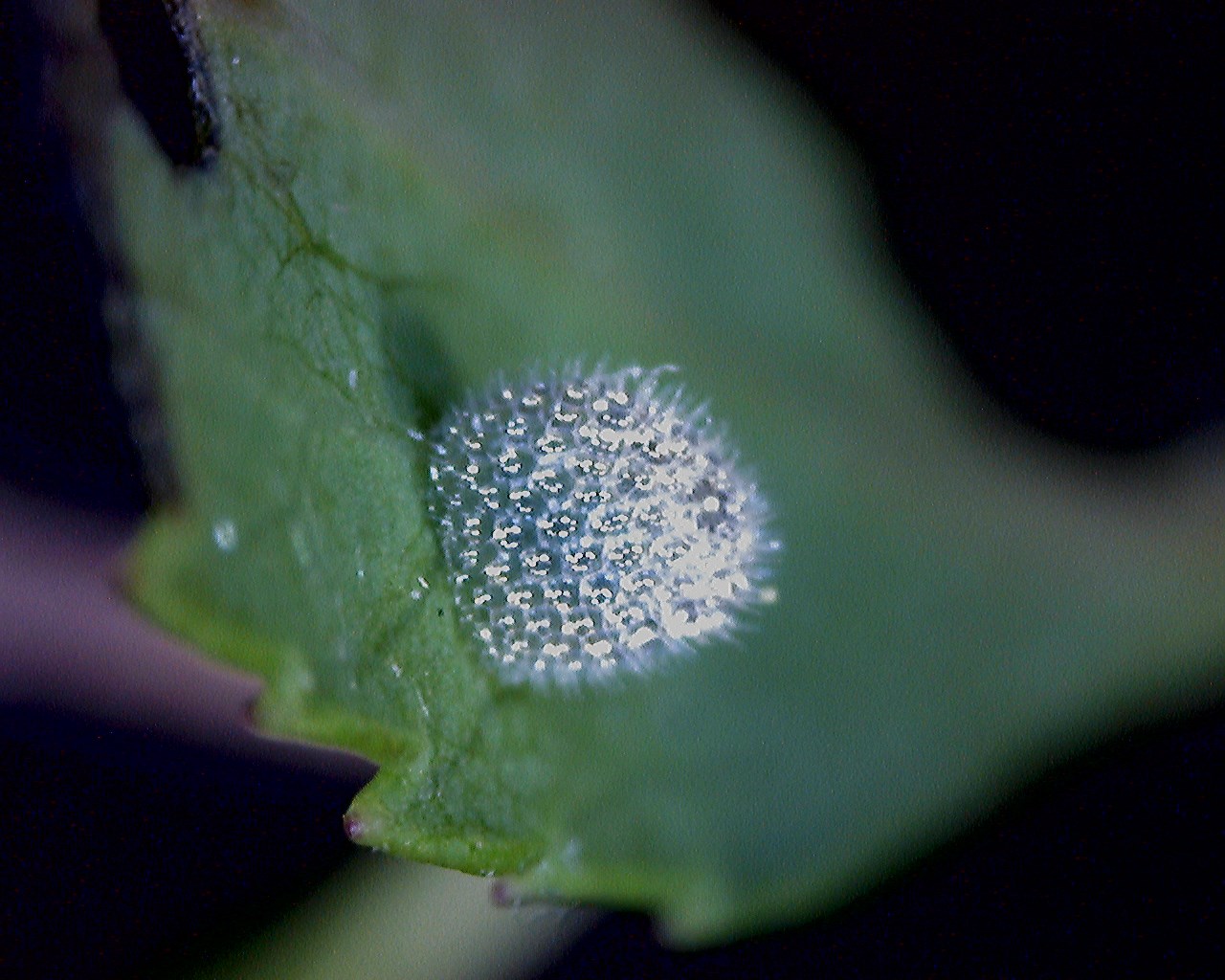 d0272107_1746516.jpg
