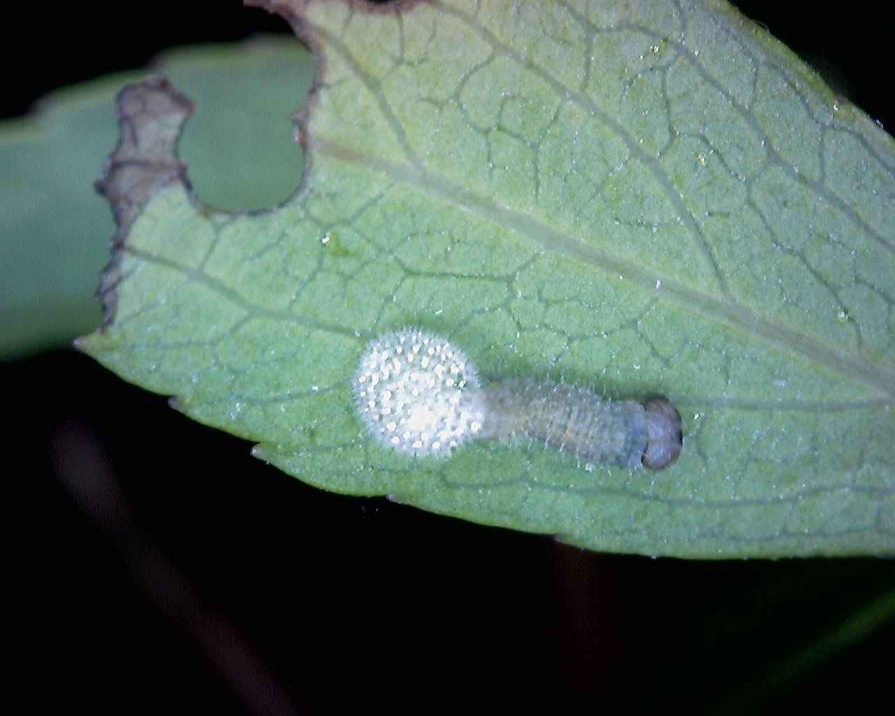 d0272107_17585578.jpg