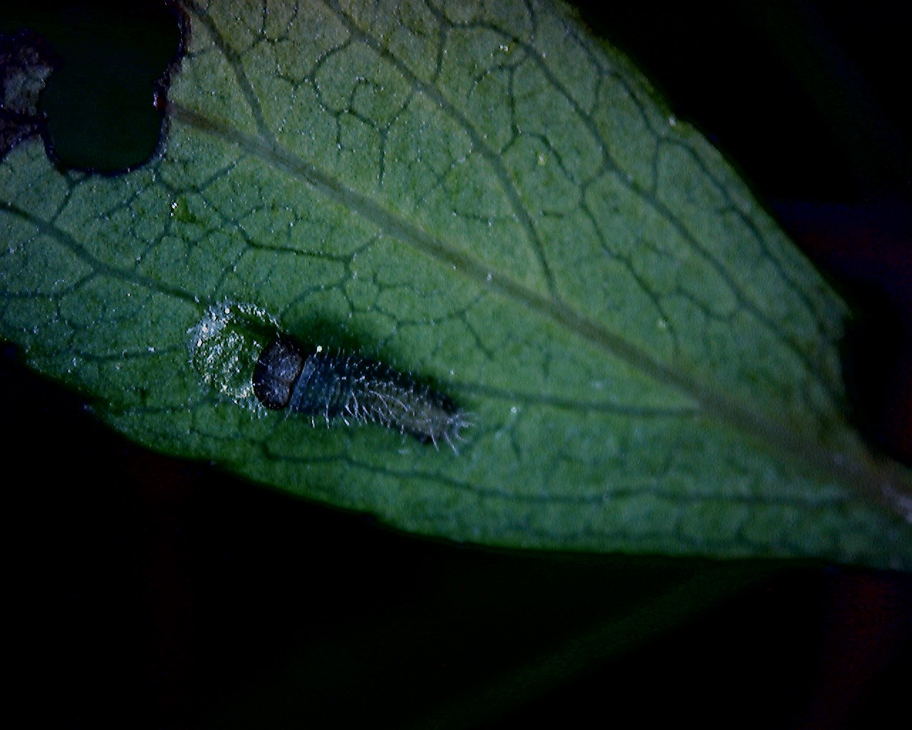 d0272107_1823486.jpg