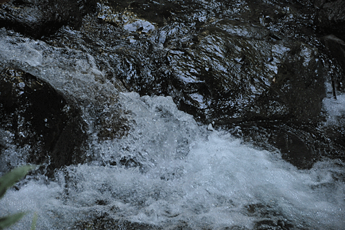 a0278809_1028439.gif