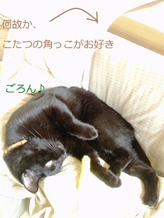 b0200310_9283842.jpg