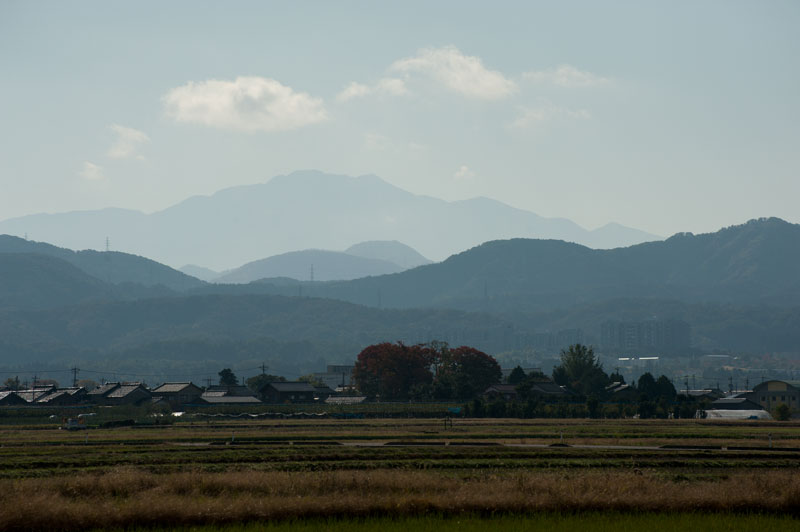 a0278914_4561244.jpg