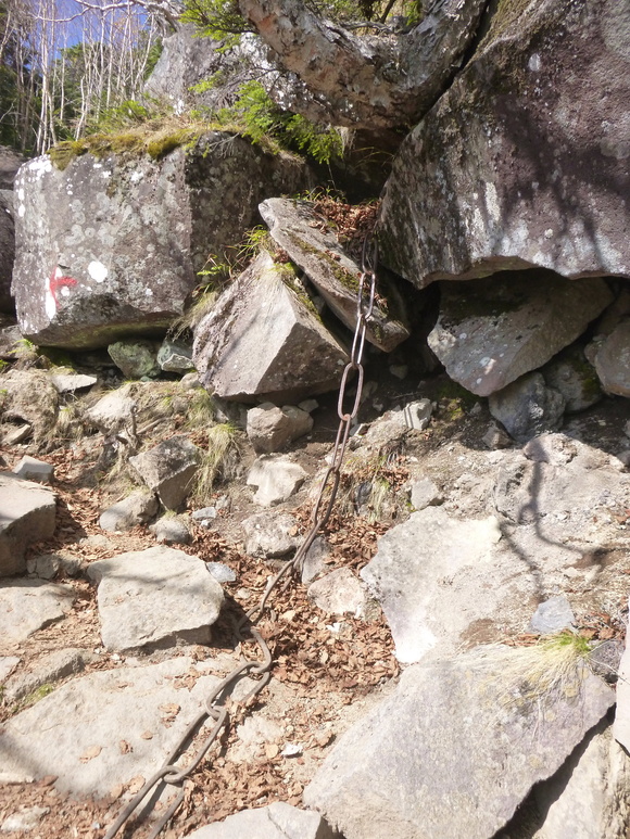 d0170615_14245040.jpg