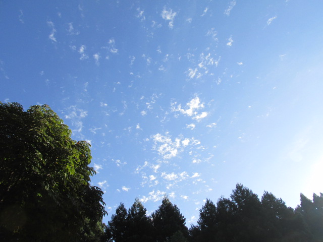 f0341616_07070445.jpg