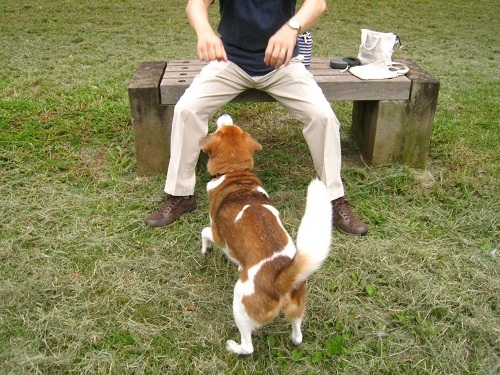 c0084117_23314842.jpg