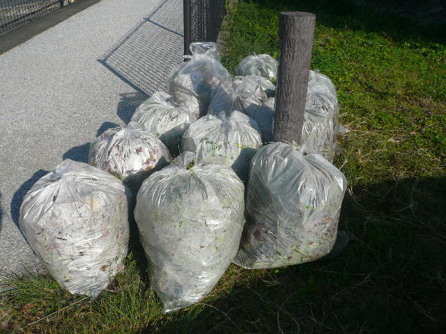e0026017_23123840.jpg