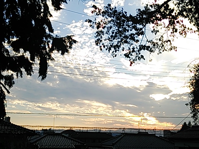 b0199924_16402123.jpg