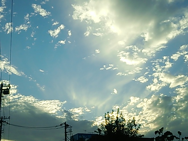 b0199924_16402128.jpg