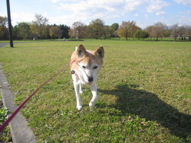 e0191826_033998.jpg