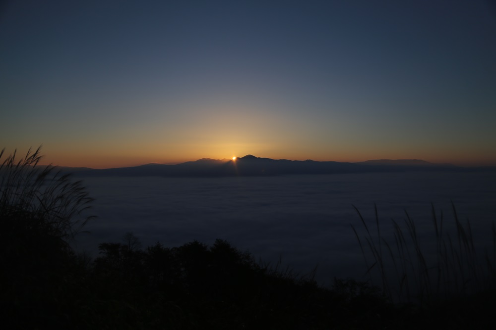 c0111229_175515.jpg