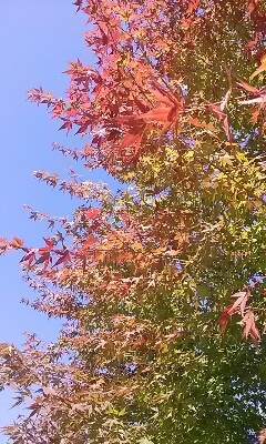 f0186330_103509.jpg