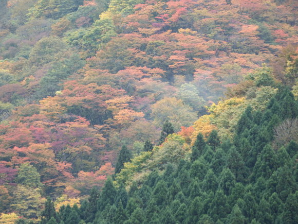 f0118332_20410191.jpg