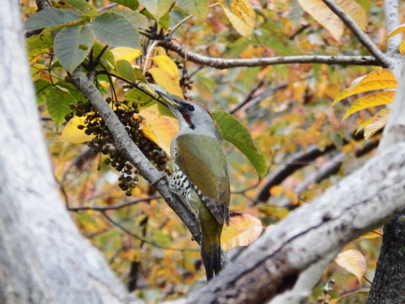 f0118332_20420632.jpg