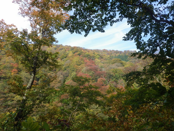 f0118332_20482428.jpg