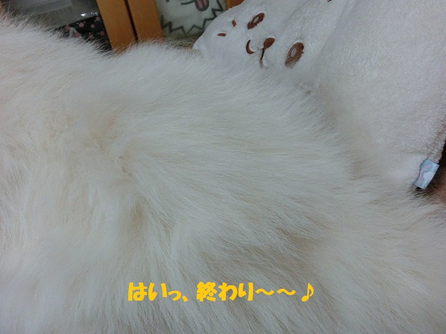 e0196135_1053487.jpg