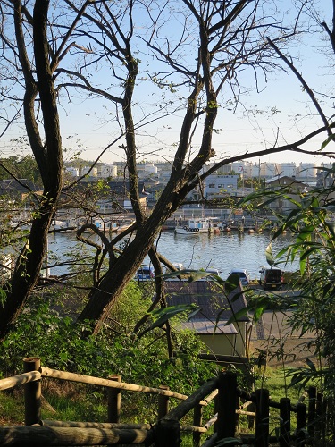 a0317336_9431179.jpg