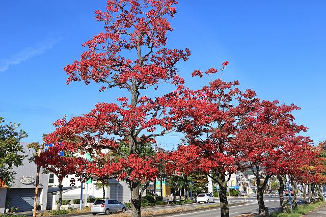 a0242438_18252937.jpg