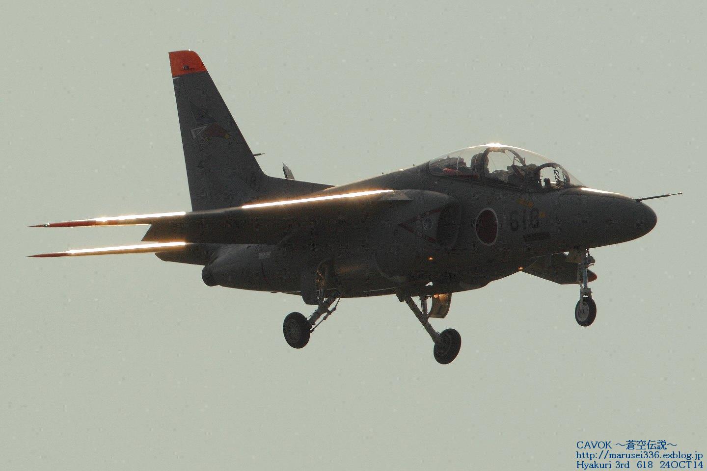 d0193838_7375514.jpg