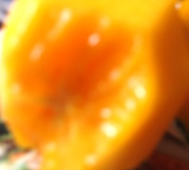 e0255638_17165317.jpg
