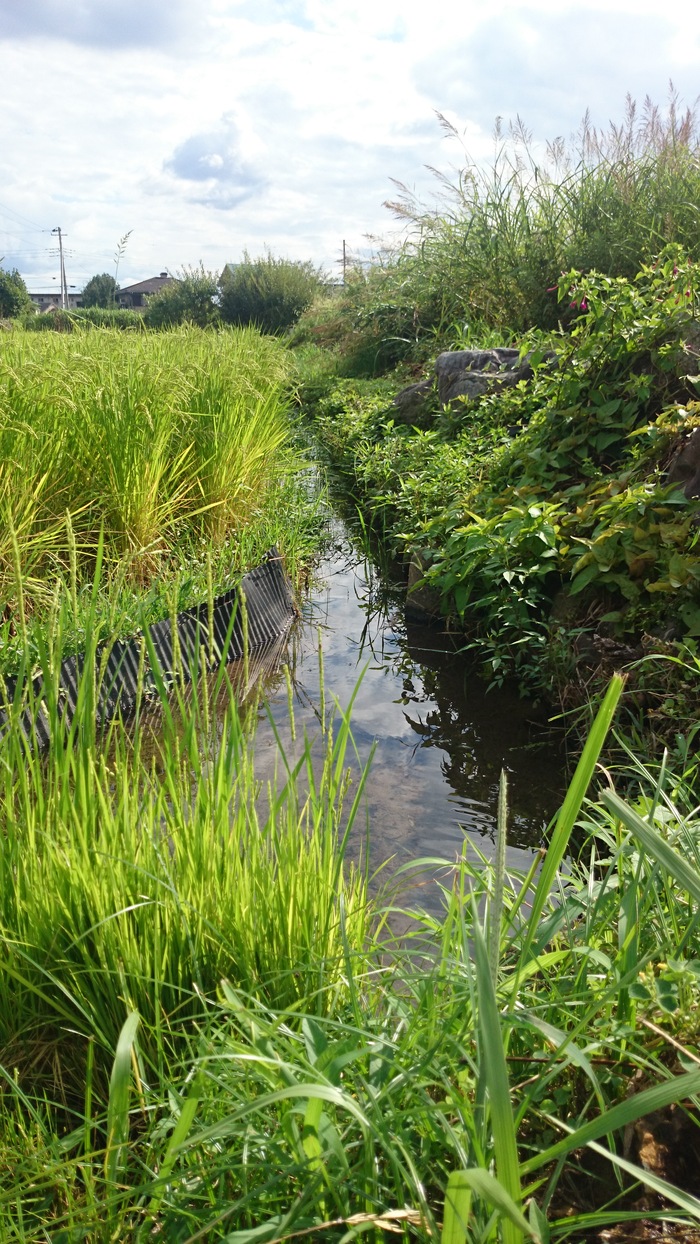 e0227139_1446436.jpg