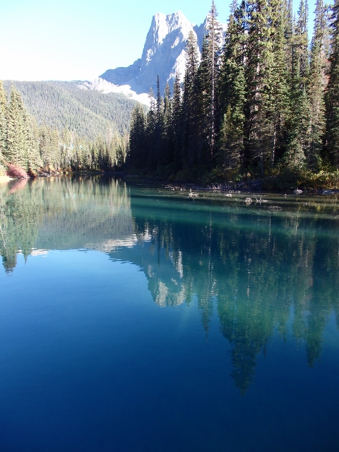 c0038742_6365360.jpg