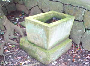 a0057057_11303616.png