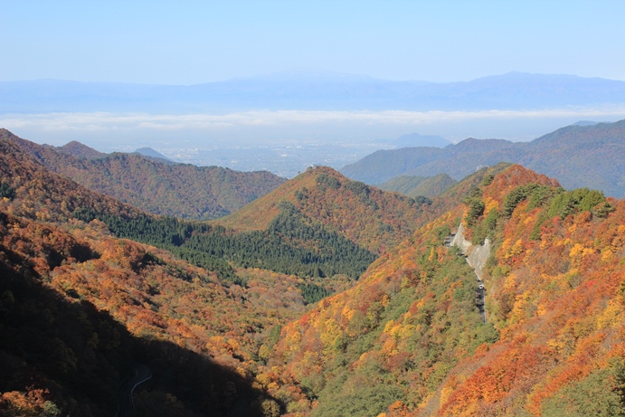 e0239458_23013675.jpg