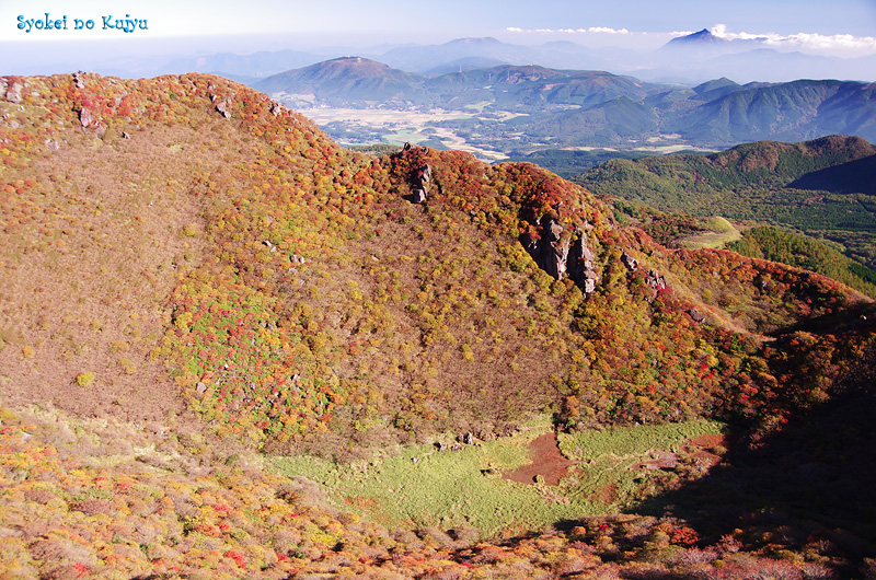 c0288262_17454529.jpg