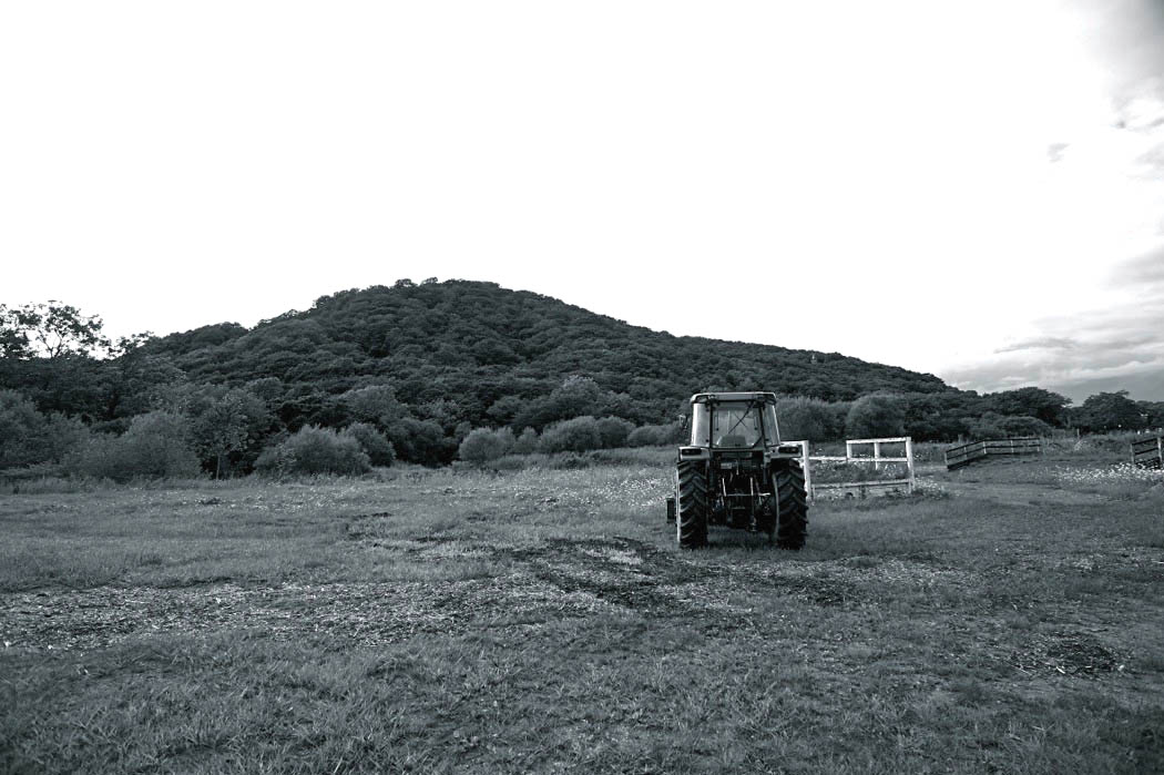 d0175768_19172404.jpg