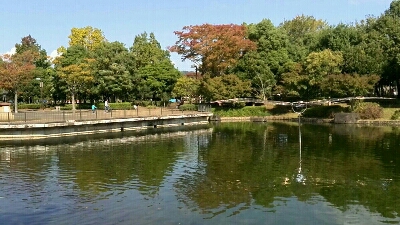 c0238371_1052521.jpg