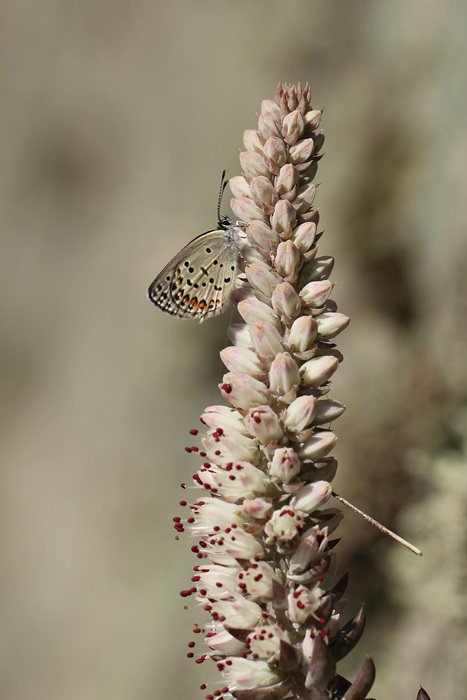 b0088772_9572830.jpg