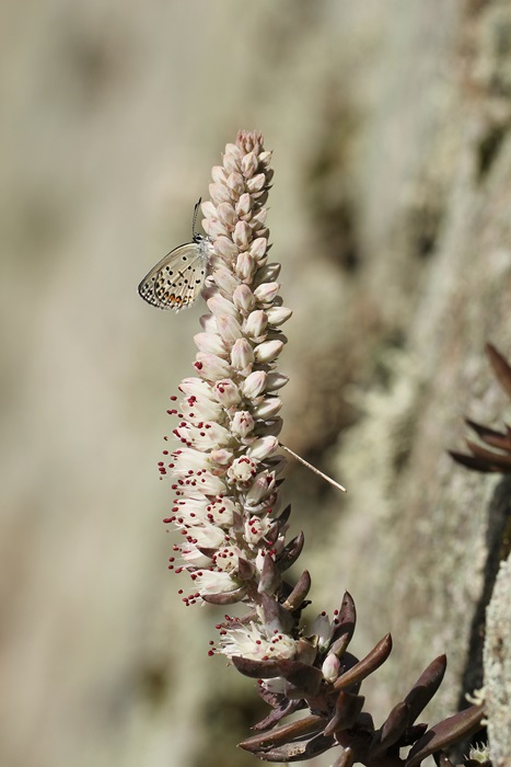 b0088772_9573425.jpg
