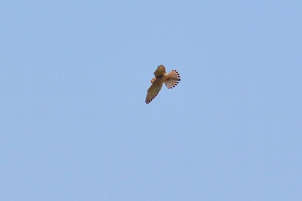 d0121272_20531238.jpg